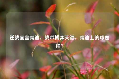 逆战圈套减速，战术博弈关键，减速上的球是啥？