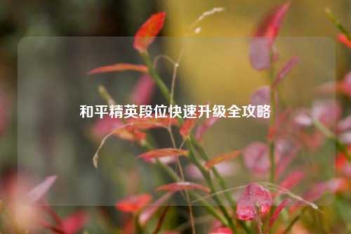 和平精英段位快速升级全攻略