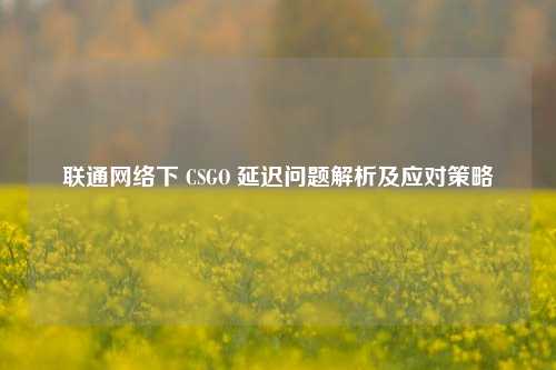 联通网络下 CSGO 延迟问题解析及应对策略