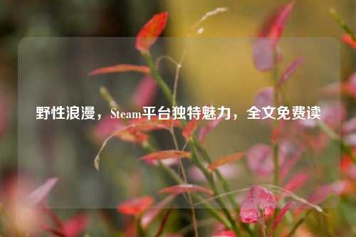 野性浪漫，Steam平台独特魅力，全文免费读
