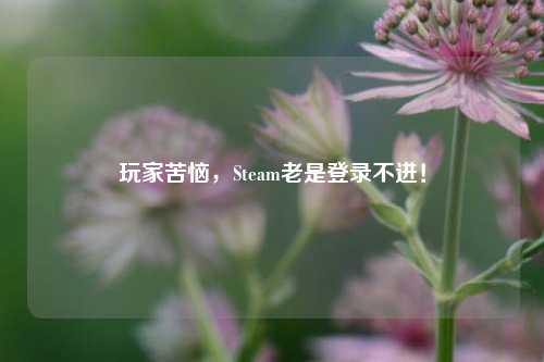 玩家苦恼，Steam老是登录不进！