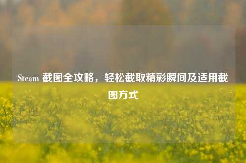 Steam 截图全攻略，轻松截取精彩瞬间及适用截图方式