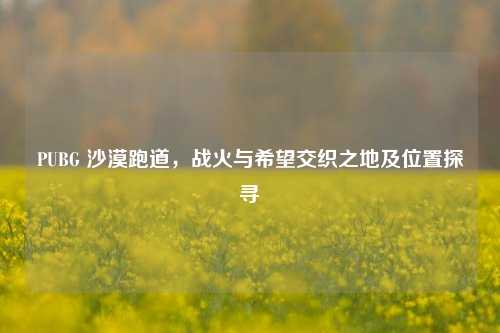 PUBG 沙漠跑道，战火与希望交织之地及位置探寻