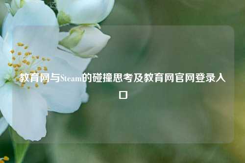 教育网与Steam的碰撞思考及教育网官网登录入口