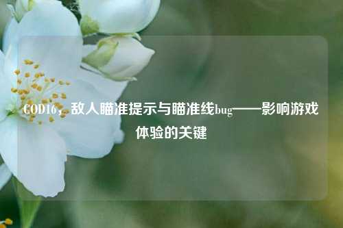 COD16，敌人瞄准提示与瞄准线bug——影响游戏体验的关键