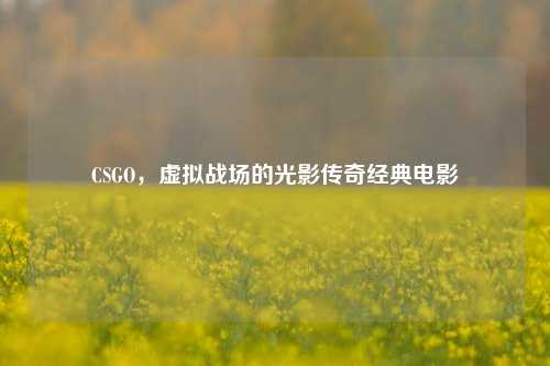 CSGO，虚拟战场的光影传奇经典电影