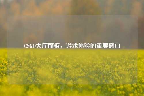 CSGO大厅面板，游戏体验的重要窗口