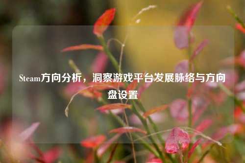 Steam方向分析，洞察游戏平台发展脉络与方向盘设置