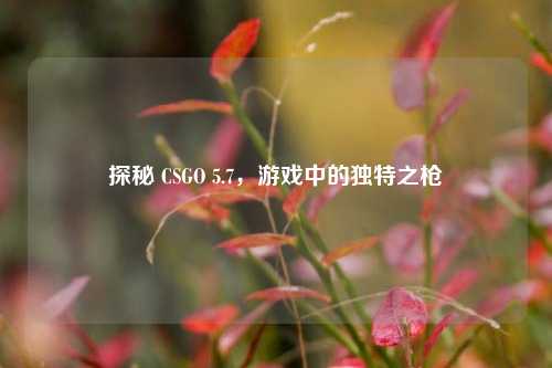 探秘 CSGO 5.7，游戏中的独特之枪