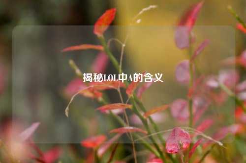 揭秘LOL中A的含义