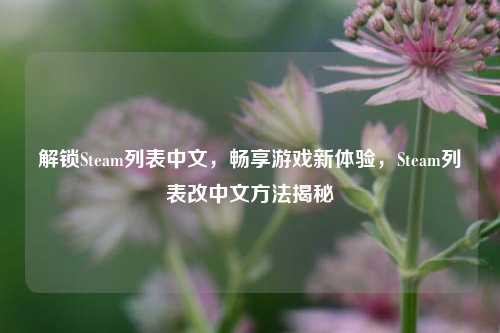 解锁Steam列表中文，畅享游戏新体验，Steam列表改中文方法揭秘