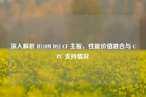 深入解析 H110M DS2 CF 主板，性能价值融合与 CPU 支持情况