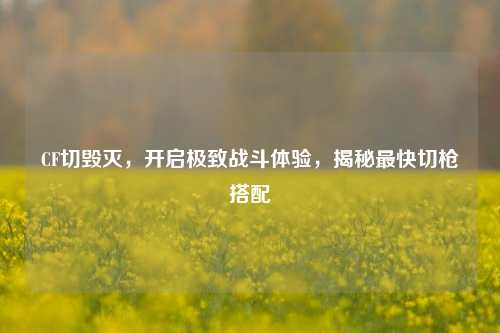CF切毁灭，开启极致战斗体验，揭秘最快切枪搭配