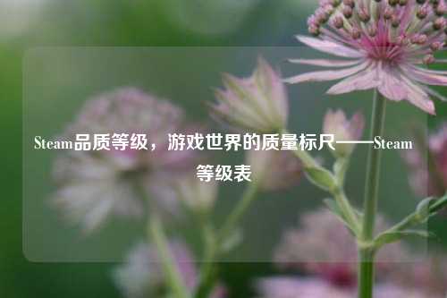 Steam品质等级，游戏世界的质量标尺——Steam等级表