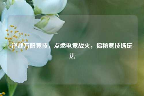 逆战万阳竞技，点燃电竞战火，揭秘竞技场玩法