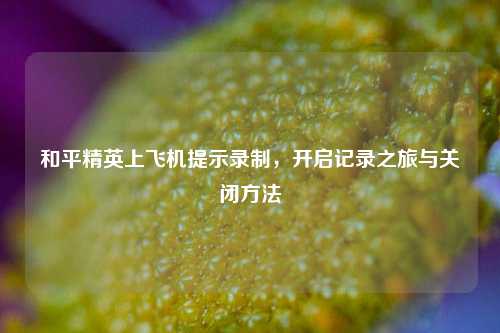 和平精英上飞机提示录制，开启记录之旅与关闭方法