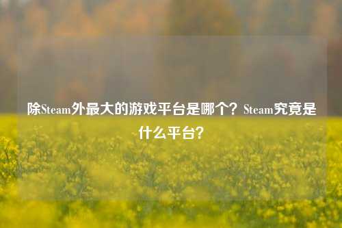 除Steam外最大的游戏平台是哪个？Steam究竟是什么平台？