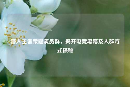 潜入王者荣耀演员群，揭开电竞黑幕及入群方式探秘