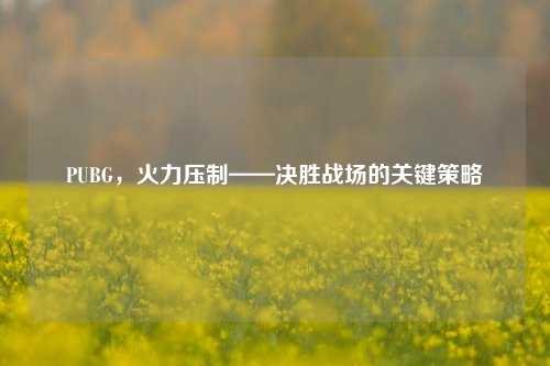 PUBG，火力压制——决胜战场的关键策略