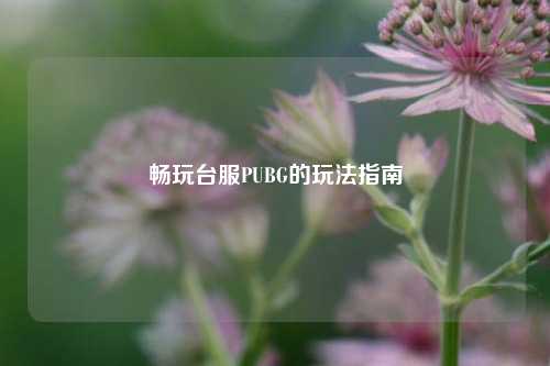 畅玩台服PUBG的玩法指南