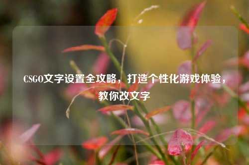 CSGO文字设置全攻略，打造个性化游戏体验，教你改文字