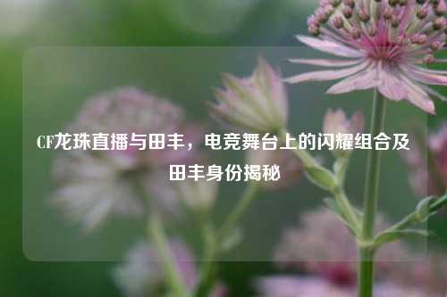 CF龙珠直播与田丰，电竞舞台上的闪耀组合及田丰身份揭秘