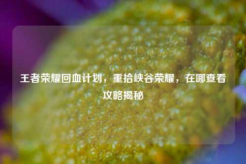王者荣耀回血计划，重拾峡谷荣耀，在哪查看攻略揭秘
