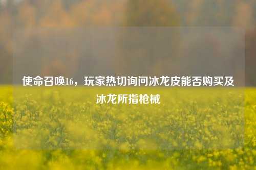 使命召唤16，玩家热切询问冰龙皮能否购买及冰龙所指枪械
