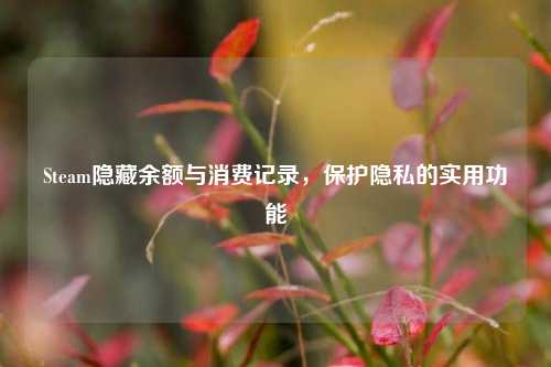 Steam隐藏余额与消费记录，保护隐私的实用功能