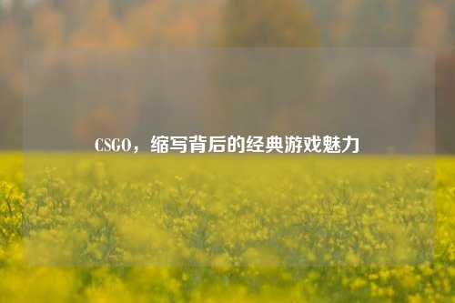 CSGO，缩写背后的经典游戏魅力