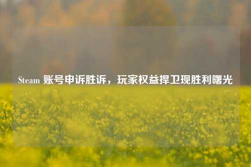 Steam 账号申诉胜诉，玩家权益捍卫现胜利曙光