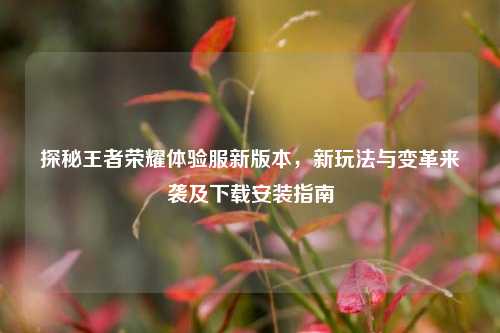 探秘王者荣耀体验服新版本，新玩法与变革来袭及下载安装指南