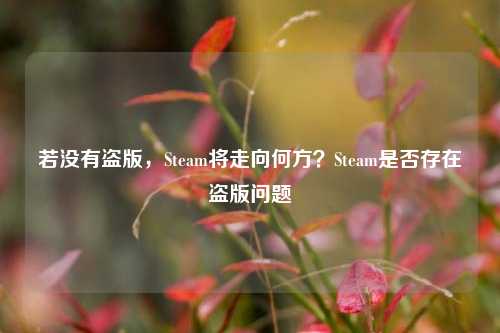 若没有盗版，Steam将走向何方？Steam是否存在盗版问题