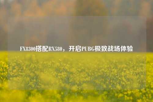 FX8300搭配RX580，开启PUBG极致战场体验
