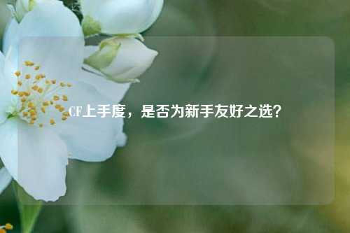 CF上手度，是否为新手友好之选？