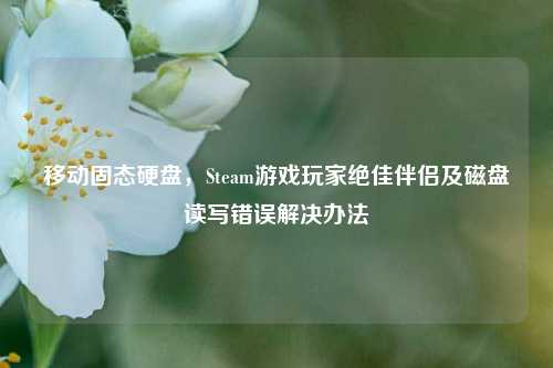 移动固态硬盘，Steam游戏玩家绝佳伴侣及磁盘读写错误解决办法