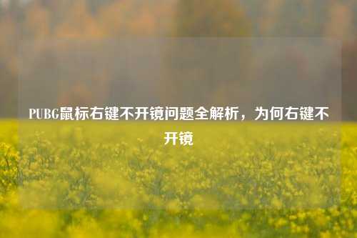 PUBG鼠标右键不开镜问题全解析，为何右键不开镜