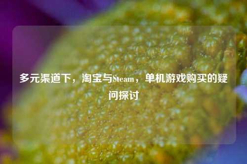 多元渠道下，淘宝与Steam，单机游戏购买的疑问探讨