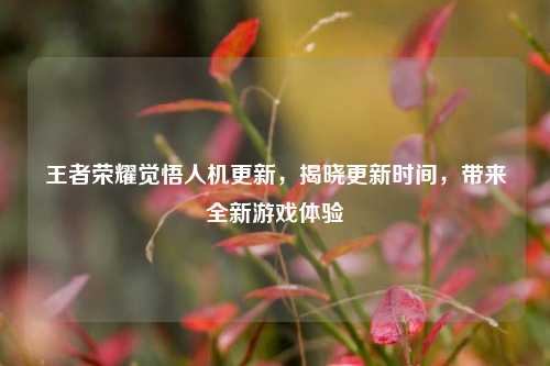王者荣耀觉悟人机更新，揭晓更新时间，带来全新游戏体验