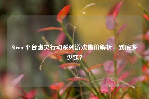 Steam平台幽灵行动系列游戏售价解析，到底多少钱？