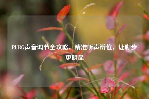 PUBG声音调节全攻略，精准听声辨位，让脚步更明显