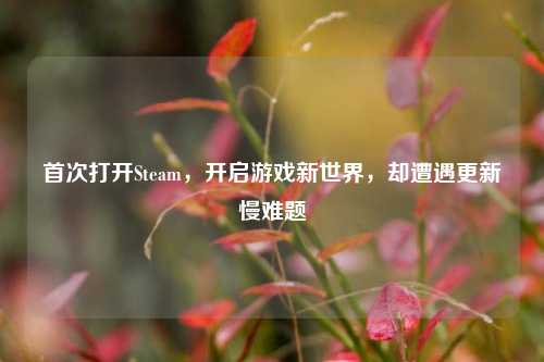 首次打开Steam，开启游戏新世界，却遭遇更新慢难题