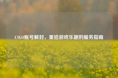 CSGO账号解封，重拾游戏乐趣的服务指南