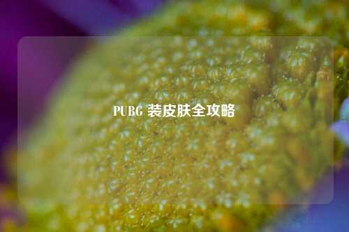 PUBG 装皮肤全攻略