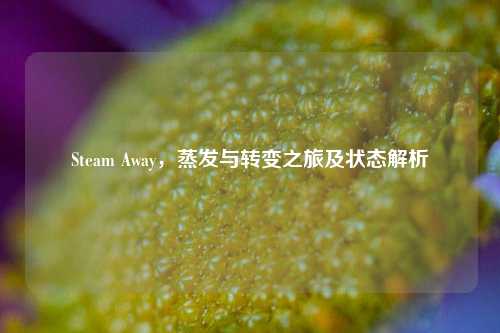 Steam Away，蒸发与转变之旅及状态解析