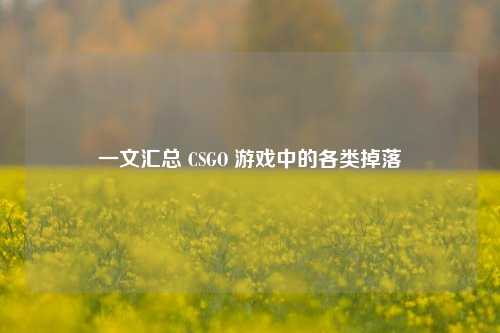 一文汇总 CSGO 游戏中的各类掉落