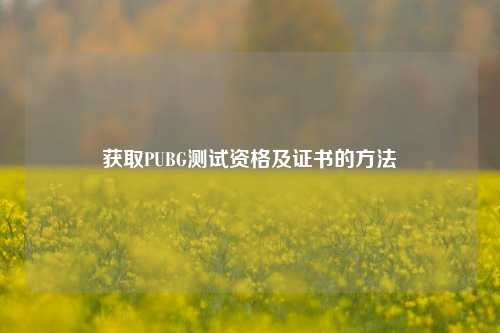 获取PUBG测试资格及证书的方法
