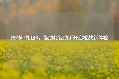探秘CF礼包B，借助礼包助手开启枪战新体验