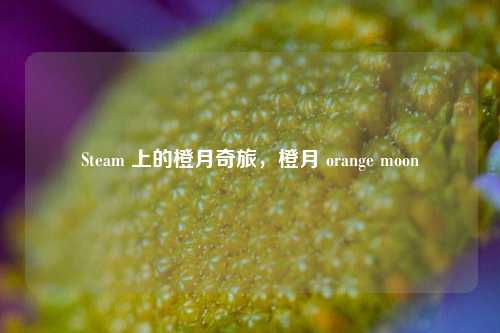 Steam 上的橙月奇旅，橙月 orange moon