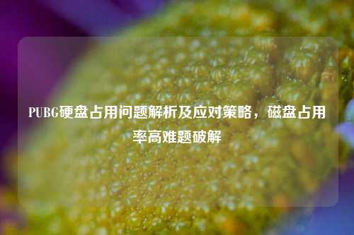 PUBG硬盘占用问题解析及应对策略，磁盘占用率高难题破解